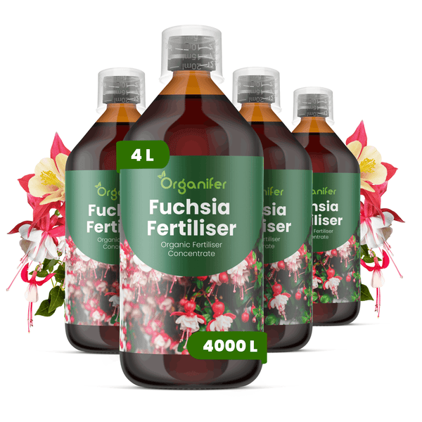 Organifer Fuchsien-Dünger, organisches Düngerkonzentrat, 4 Liter für 4000 Liter Gießwasser, vier Flaschen mit Messkappe.
