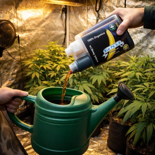 Bio PK 5-8 Dünger wird aus einer Flasche in eine Gießkanne gegossen, im Hintergrund befinden sich Pflanzen in einem Innenraum.