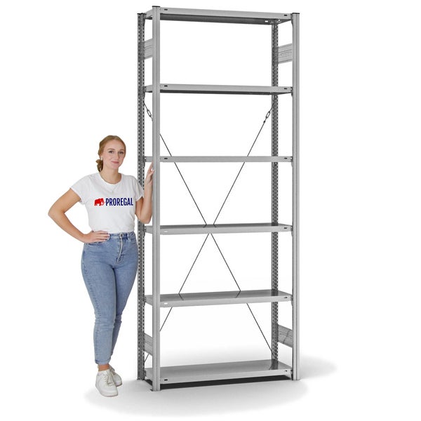 PROREGAL Fachbodenregal Stecksystem T-Profil Light-Duty Grundregal HxBxT 250 x 100 x 30 cm 6 Ebenen Fachlast 150 kg Einseitig Nutzbar Verzinkt