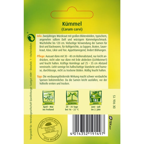 Kümmel Samen von Quedlinburger SAATGUT
