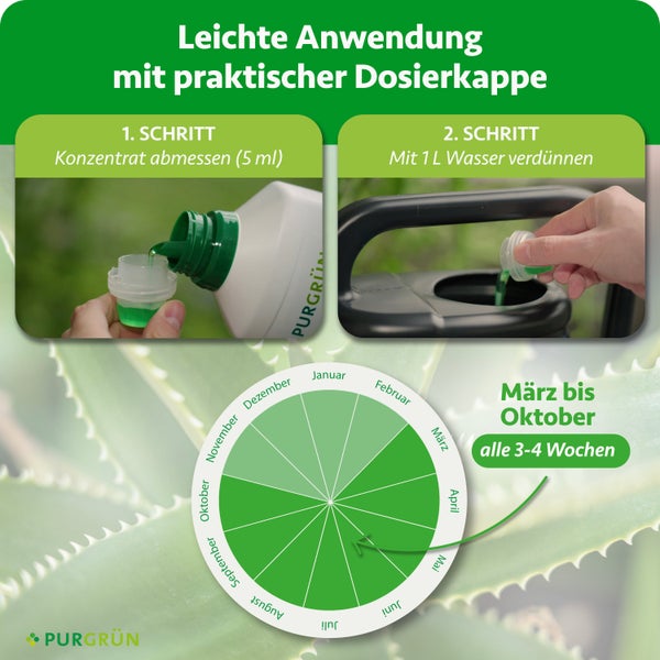 Infrarotsauna mit Glastür und Holzverkleidung im Innenraum