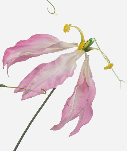 Künstliche Ruhmeskrone Gloriosa mit einer Blüte und einer Knospe in Rosa und Gelb.