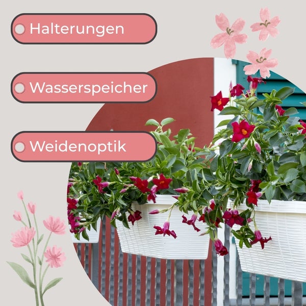 Balkonkästen mit Halterungen, Wasserspeicher und Weidenoptik