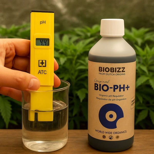 Flasche Biobizz Bio-pH-Plus organischer pH-Regulator neben einem digitalen pH-Messgerät in einem Wasserglas.