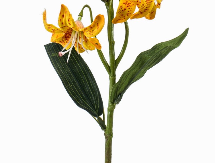 Künstlicher Tigerlilienzweig mit gelben gepunkteten Blüten, Knospen und grünen Blättern.