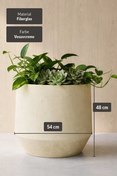 Pflanzkübel aus Fiberglas in Vesuvcreme, Höhe 48 Zentimeter, Breite 54 Zentimeter, bepflanzt mit verschiedenen Grünpflanzen und Sukkulenten.