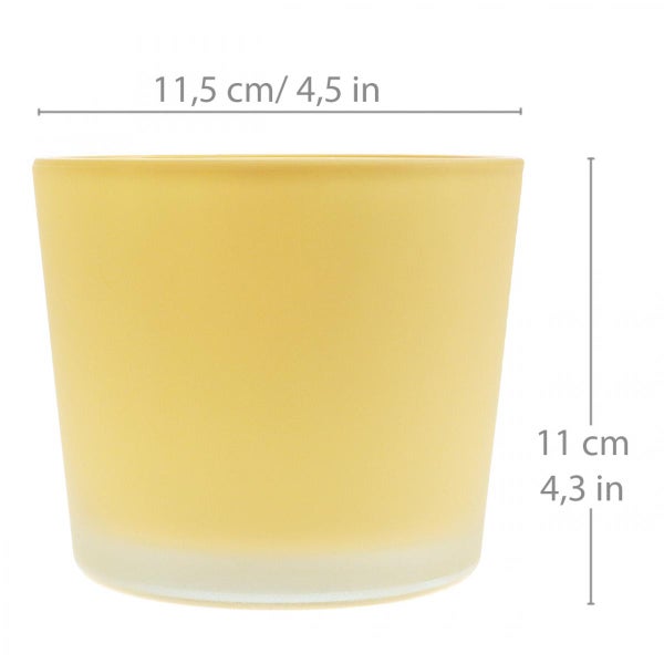 Gelber Übertopf aus Glas mit Maßen: Durchmesser 11,5 Zentimeter und Höhe 11 Zentimeter.