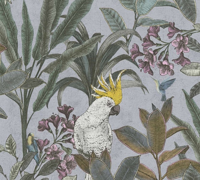 Tapete mit tropischem Dschungelmotiv, Kakadu, Kolibri und exotischen Pflanzen in kunstvollem Illustrationsstil