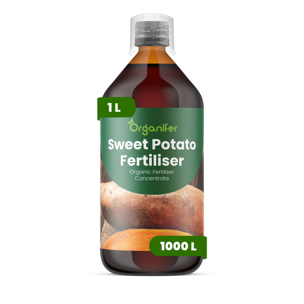 Organifer Süßkartoffeldünger, 1 Liter Flasche, organisches Flüssigdünger-Konzentrat.