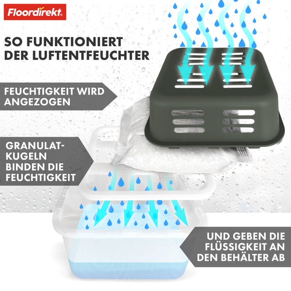 FLOORDIREKT Luftentfeuchter im 4er Set - Nachfüllbare & wiederverwendbare Raumentfeuchter - Kuki - Grün