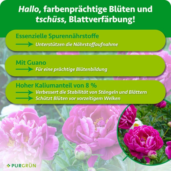 Infografik mit Produktinformationen zu Pflanzendünger für Pfingstrosen mit Spurennährstoffen, Guano und hohem Kaliumanteil von 8 Prozent.