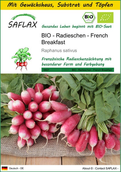 SAFLAX Anzucht Set - BIO - Radieschen - French Breakfast - Raphanus sativus - 150 Samen - Mit Mini-Gewächshaus, Anzuchtsubstrat und 2 Töpfen