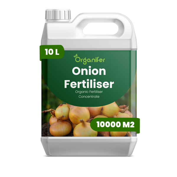 Organifer Zwiebel-Dünger, organisches Düngerkonzentrat, 10 Liter für 10000 Quadratmeter.