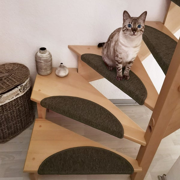 Beautissu ProStair Stufenmatte 56x20cm Braun (15tlg)