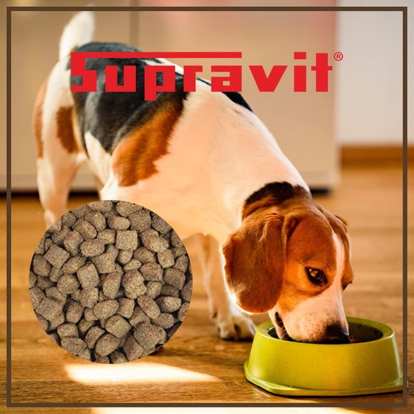 Hund frisst Hundefutter der Marke Supravit aus einem Napf. Detailaufnahme des Futters.
