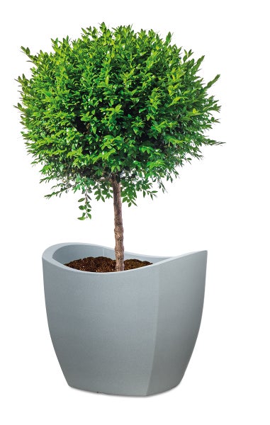 Scheurich Wave Globe Cubo 50, Pflanzgefäß/Blumentopf/Pflanzkübel, rund,  aus Kunststoff Farbe: Stony Grey, 49,5 cm Durchmesser, 44,4 cm hoch, 62 l Vol.