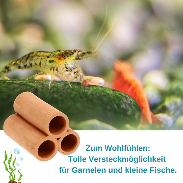 Aquariumdekoration mit Versteckröhren und Garnelen