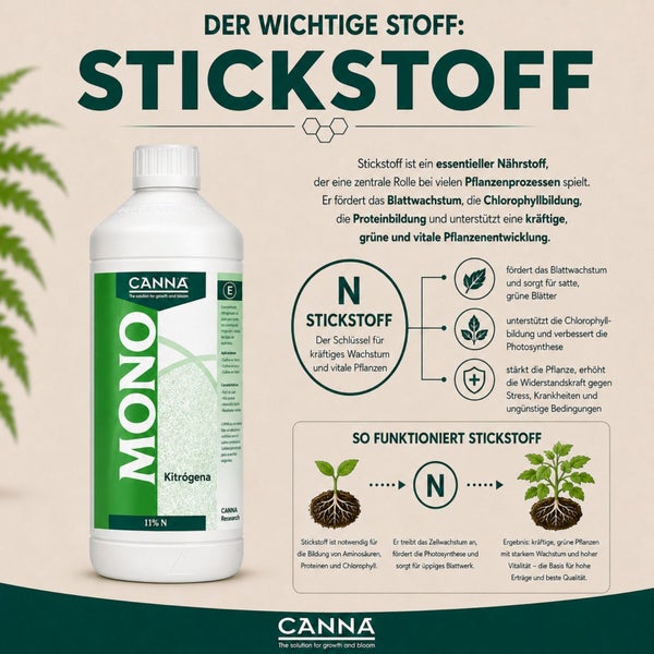 Infografik zum Canna Mono Stickstoff Pflanzendünger für gesundes Wachstum, Blattentwicklung und Chlorophyllbildung bei Pflanzen.