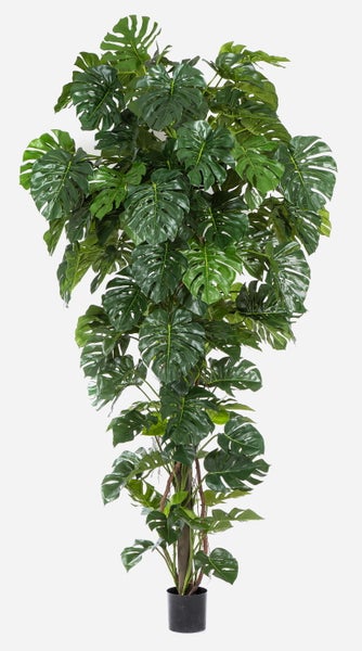 Künstliche Monstera Pflanze im schwarzen Topf mit großen grünen Blättern und Stamm.