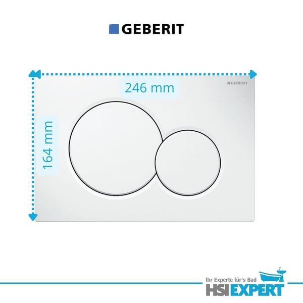 Geberit Betätigungsplatte mit den Maßen 246 mal 164 Millimeter