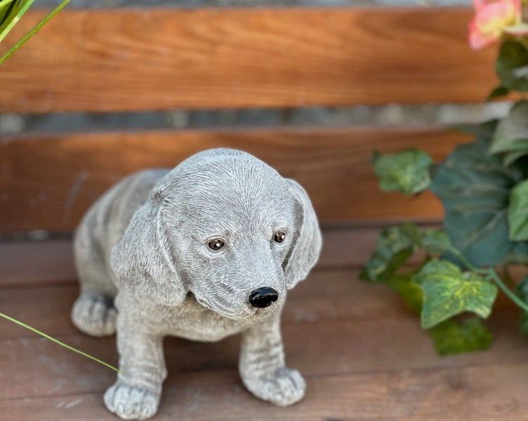 Graue Gartenfigur Hundewelpe aus Steinguss als Dekoration.