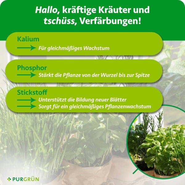 Infografik zur Anwendung von Purgrün Flüssigdünger mit zwei Schritten zum Abmessen und Verdünnen sowie Düngekalender. Purgrün Logo.