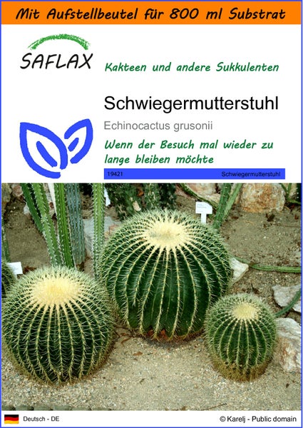 SAFLAX Garden in the bag - Schwiegermutterstuhl - Echinocactus grusonii - 40 Samen - Mit Anzuchtsubstrat im praktischen, selbst aufstellenden Beutel