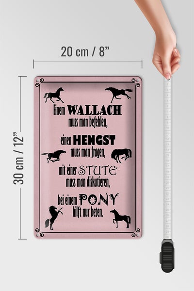 Blechschild Spruch 20x30cm Pferde Wallach Hengst Pony Stute