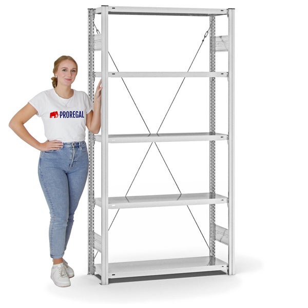 PROREGAL Fachbodenregal Stecksystem T-Profil Light-Duty Grundregal HxBxT 200 x 100 x 30 cm 5 Ebenen Fachlast 150 kg Einseitig Nutzbar Lichtgrau