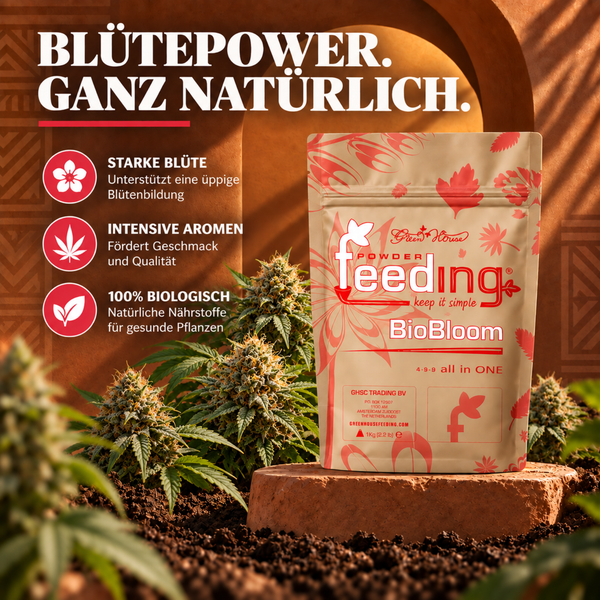 Ein Kilogramm Beutel Green House Powder Feeding BioBloom Pflanzenduenger fuer Bluetenbildung vor Cannabispflanzen in der Erde.