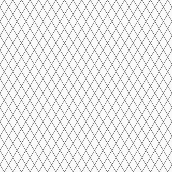 Drahtgeflecht mit rautenförmigen Maschen für Zäune oder Spaliere.