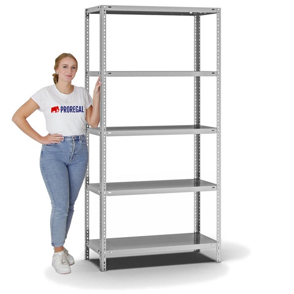 PROREGAL Fachbodenregal Schraubsystem Light-Duty Grundregal HxBxT 200 x 100 x 40 cm 5 Ebenen Fachlast 125 kg Beidseitig Nutzbar Verzinkt