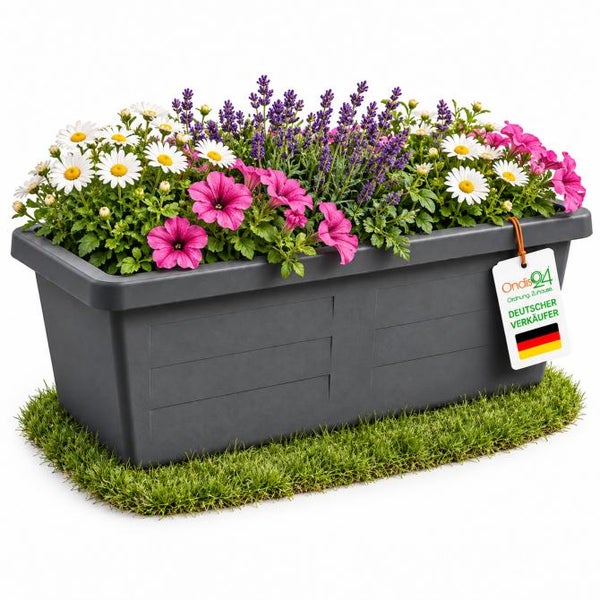 Rechteckiger Blumenkasten aus Kunststoff bepflanzt mit Gänseblümchen, Lavendel und Petunien auf einem Stück Rasen mit Ondis24 Logo Anhänger.