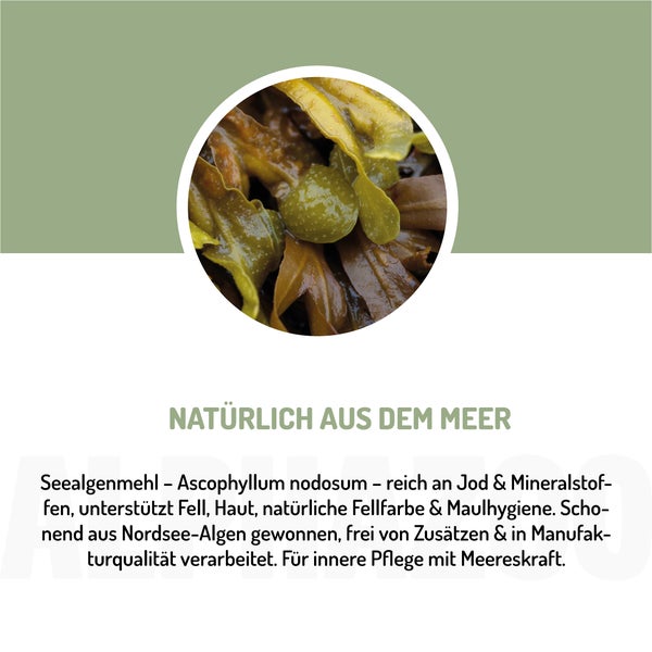 alphazoo Seealgenmehl 250g