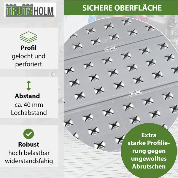 TRUTZHOLM 1 x Alu Auffahrrampe 200 x 70 cm Traglast 540 kg grau starr perforiert Verladerampe