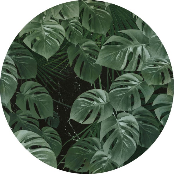 Kreisförmiges Bild mit Monstera- und Palmblättern