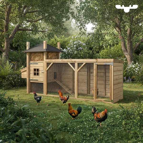 Hühnerstall aus Holz mit Freilaufgehege im Garten mit Hühnern