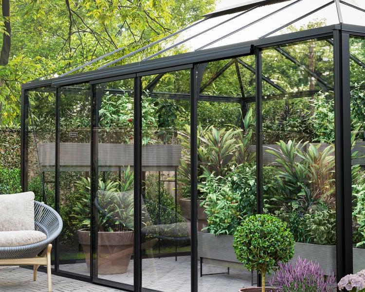 Modernes Gewächshaus mit schwarzem Aluminiumrahmen und Glaswänden, bepflanzt mit verschiedenen Gartenpflanzen auf einer gepflasterten Terrasse.