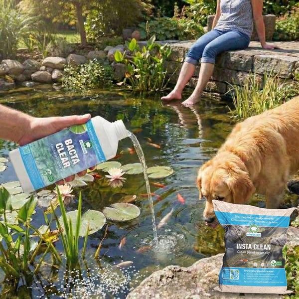 Teichpflegeprodukte BACTA CLEAR und INSTA CLEAN werden in einem Gartenteich mit Fischen, Seerosen, einem Hund und einer Person angewendet.