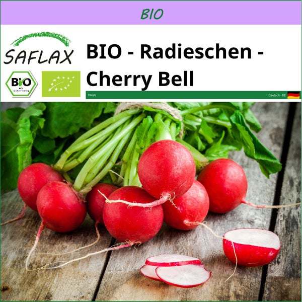 SAFLAX  - BIO - Radieschen - Cherry Bell - Raphanus sativus - 100 Samen