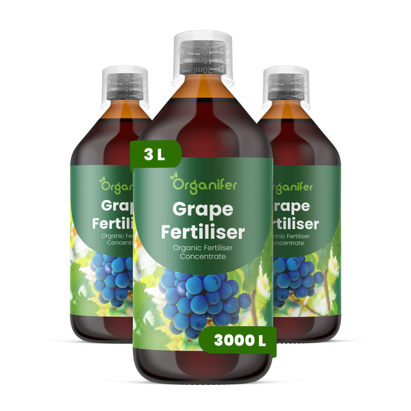 Drei Flaschen Organifer Bio-Traubendünger Konzentrat, 3 Liter Gesamtinhalt, ausreichend für bis zu 3000 Liter Wasser.
