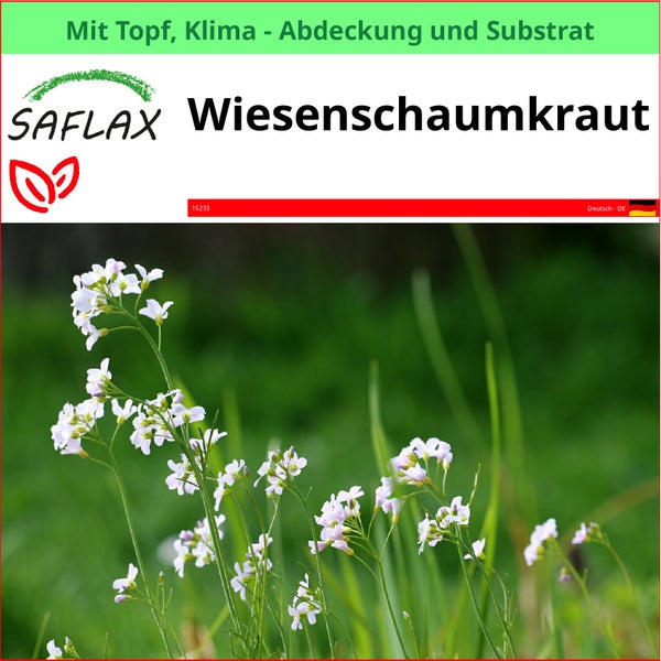 SAFLAX Garden to go - Wiesenschaumkraut - Cardamine pratensis - 100 Samen - Mit Topf, Klima - Deckel und Anzuchtsubstrat