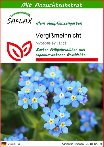 SAFLAX  - Vergißmeinnicht - Myosotis sylvatica - 150 Samen - Mit keimfreiem Anzuchtsubstrat
