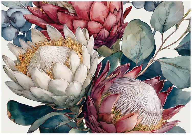 Nahaufnahme von Protea-Blüten und Eukalyptusblättern
