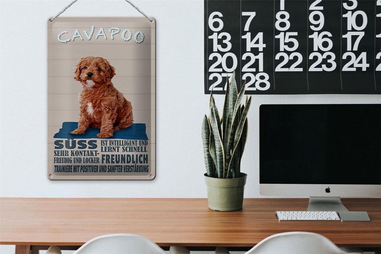 Blechschild Spruch 20x30cm Cavapoo Hund süss freundlich