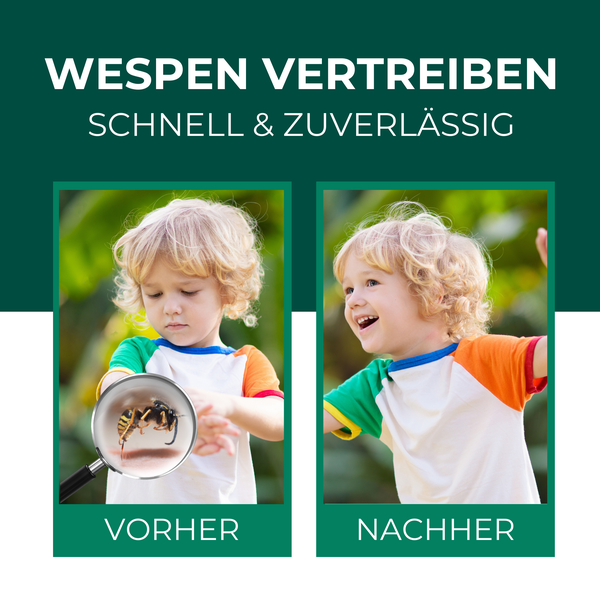 Silberkraft Wespenspray 500 ml, Spray zur Wespenabwehr, Anti-Wespen-Mittel zum Vertreiben der Insekten, hilft gegen Wespennester, Repellent mit starker Sofort- und Langzeitwirkung
