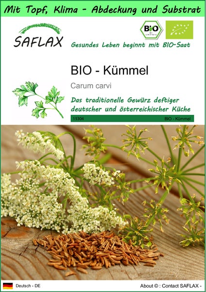 SAFLAX Garden to go - BIO - Kümmel - Carum carvi - 800 Samen - Mit Topf, Klima - Deckel und Anzuchtsubstrat