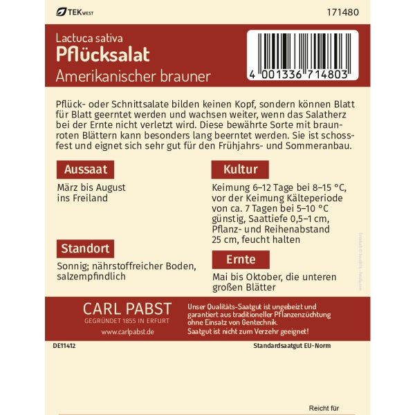 Pflücksalat spätschossend & buntblättrig Amerikanischer Brauner Samen von Pabst Keimkraft