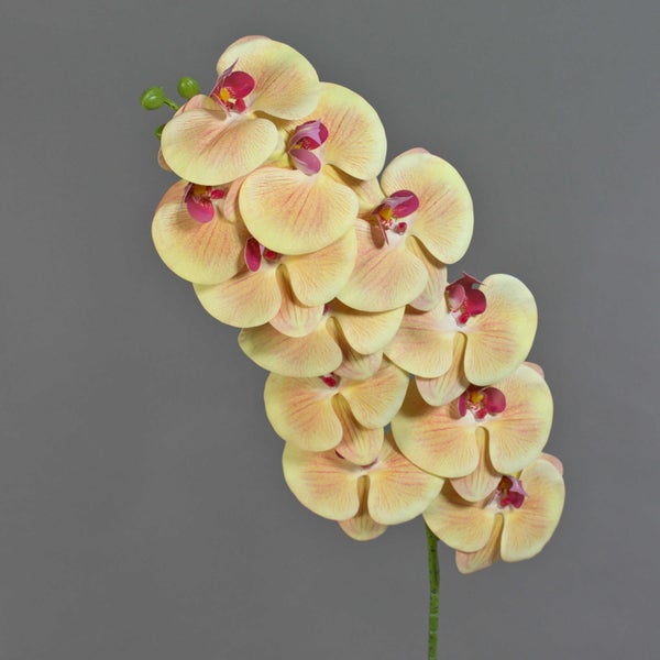 Künstlicher Orchideenzweig Phalaenopsis mit gelb-rosa Blüten und grünen Knospen am Stiel für die Dekoration.
