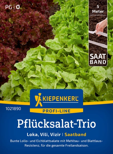 Kiepenkerl Pflücksalat Trio Saatband 5 Meter für Lollo und Eichblattsalat